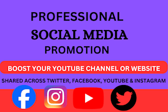 shoutout youtube channel promote website link to 50m twitter fb, yt, ig audience