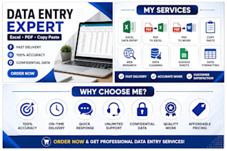 do accurate data entry, excel entry, copy paste, PDF to excel and web research