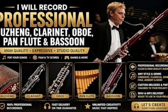 record professional guzheng, clarinet, oboe, pan flute and bassoon
