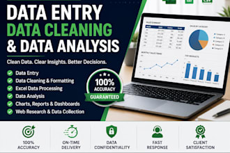 do data entry, data cleaning, excel data and data analysis