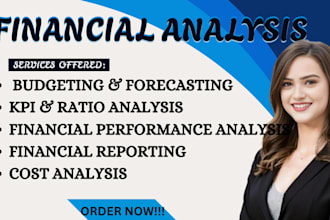 provide financial analysis, budgeting, forecasting and KPI reporting