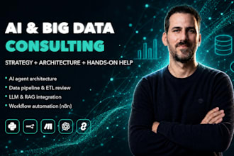 be your on demand ai and big data consultant