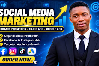 social media marketing, organic promotion, facebook and google ads boost traffic