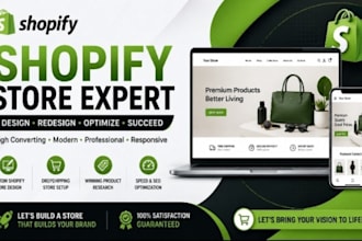build a premium shopify store design for ecommerce