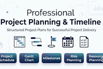 create a professional project plan, timeline, gantt chart and milestones