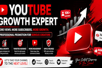promote youtube channel and video seo to 1 million views for revenue