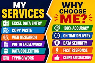 do excel data entry and copy paste tasks