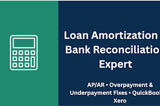 handle loan amortization, bank reconciliation, and ap and ar management