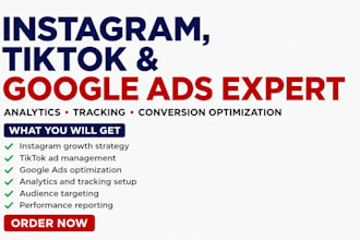 instagram tiktok facebook ads google ads marketing ecommerce ads setup
