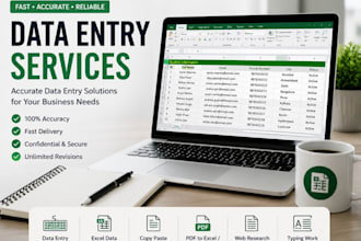 accurate data entry, copy paste and web research