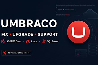fix, upgrade and maintain your umbraco website