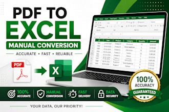 manually convert PDF to excel with accurate formatting