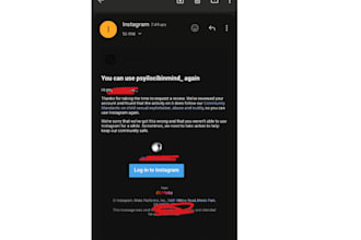 instagram account retrieval, business page