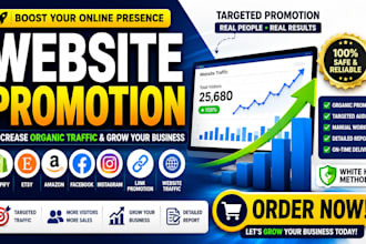do website promotion to increase organic website traffic and website marketing