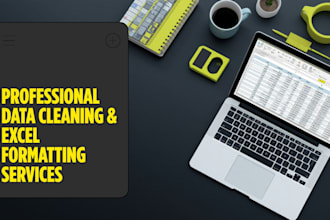 do technical data cleaning, excel data formatting, and CSV database cleanup