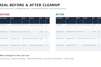 clean deduplicate and organize your business lead CSV