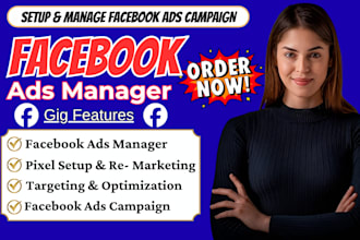 setup and manage meta ads marketing campaigns meta ads manager and facebook ads