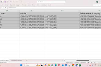 create a professional interactive excel dashboard