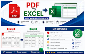 convert PDF to excel, clean data, and format spreadsheets accurately