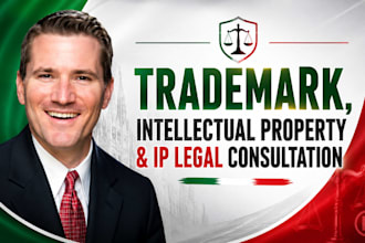 provide trademark, intellectual property and IP legal consultation