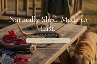 design and develop a premium shopify website