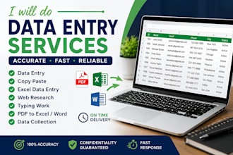 do accorat data entry copy paste web research and excel data entry