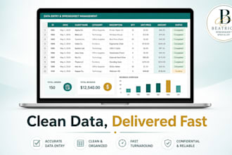 l do fast and accurate excel or google sheets data entry and spreadsheet cleanup