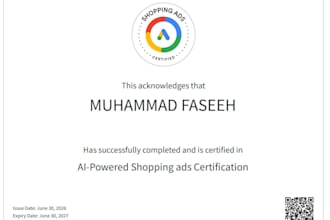 setup and ai powered shopping ads