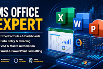 provide professional ms office services