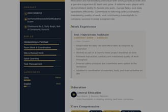 write a professional CV or resume for you