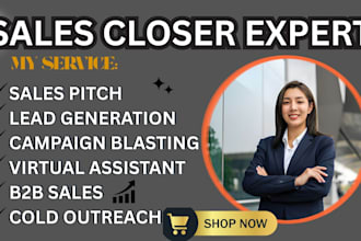 sales closer sales person sales rep high ticket sales