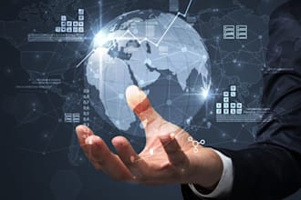 do professional web development and python automation