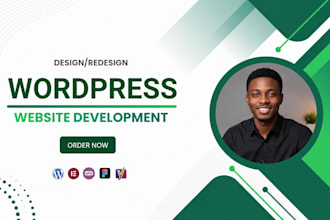 build a responsive wordpress website with full development