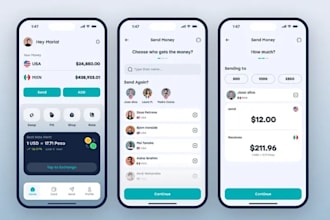 build international wallet app, currency exchange app, stable coin exchange app