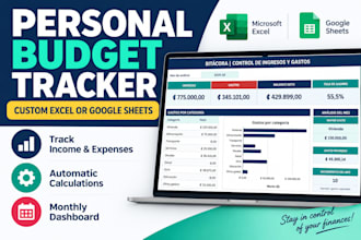 build a custom excel or google sheets budget tracker