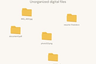 organize your digital files into folders
