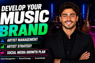 develop your music brand, artist strategy and social media growth plan