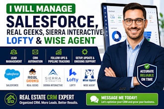 manage salesforce, real geeks, sierra interactive, lofty and wise agent