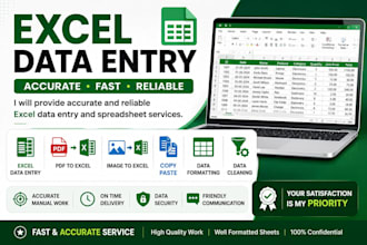do excel entry and spreadsheet work