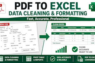 convert PDF to excel data cleaning and structuring