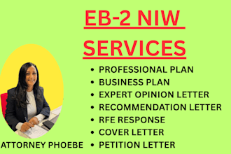 assist with eb2 niw petition preparation and documents