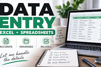 do accurate data entry, excel, and spreadsheet work