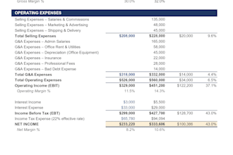 prepare financial statements and ratio analysis
