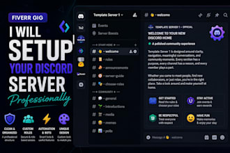setup your discord server professionally
