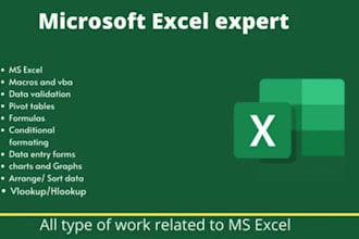 do excel data entry, data cleaning, formatting and analysis