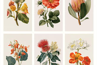 illustrate best botanical illustration