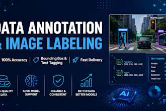 do accurate data annotation and image labeling for ai