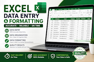 do excel spreadsheet data entry and data formatting