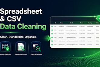 clean and organize your excel or CSV data