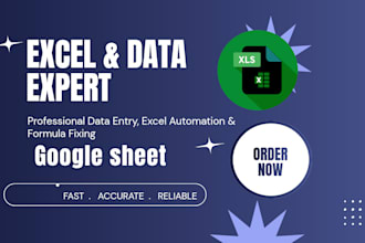 do professional excel data entry and google sheets automatio